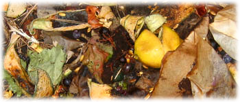 Example content image